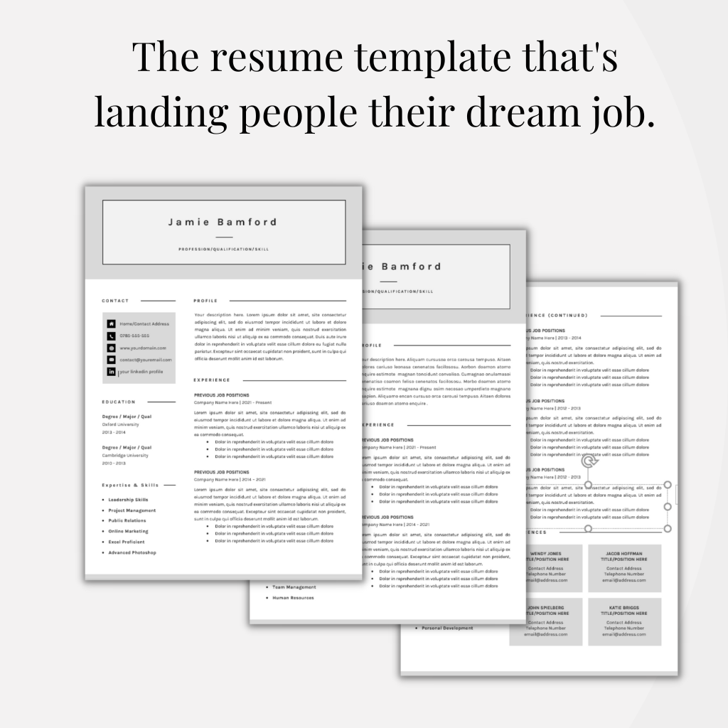 The Professional Resume CV Template